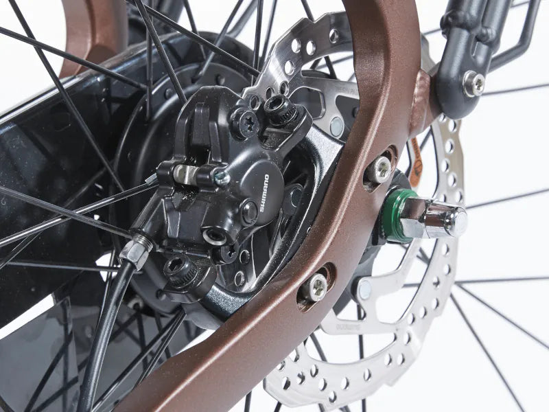 Cortina E-Common Family Bosch ActiveLine+ MM N7 2025 Dames - Novafietsen.nl