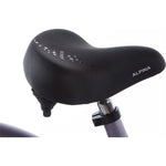 Alpina Ocean 22 inch 2025 Meisjes - Novafietsen.nl