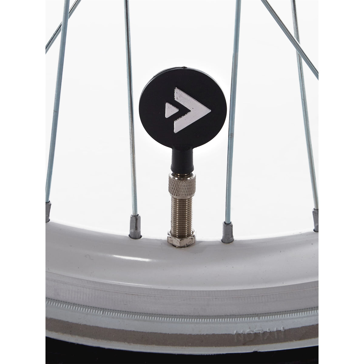 Alpina Ocean 20 inch 2025 Meisjes - Novafietsen.nl