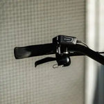 Cortina E-Common INT Family Bosch ActiveLine+ MM 2025 Dames - Novafietsen.nl