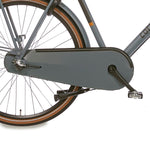 Cortina U4 Transport Solid N3 2025 Heren - Novafietsen.nl