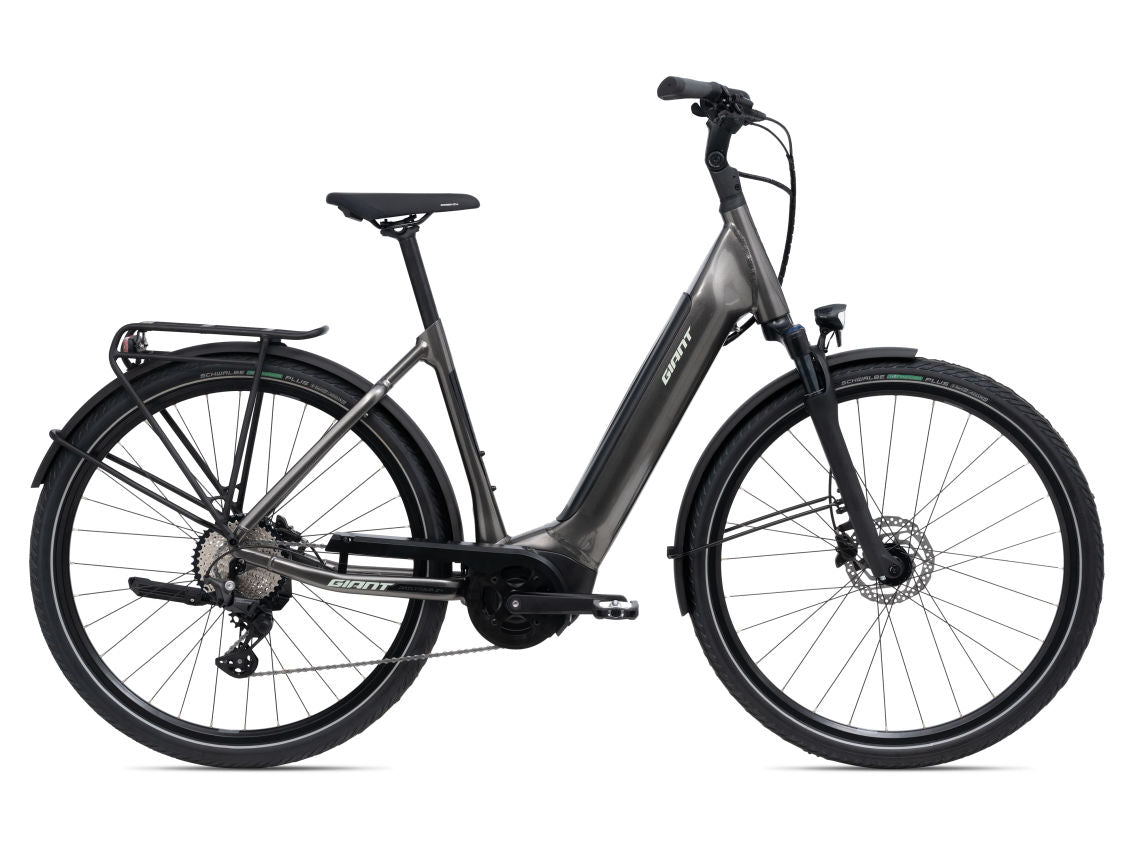 Giant DailyTour E+ 2 D Evo Dames - Novafietsen.nl