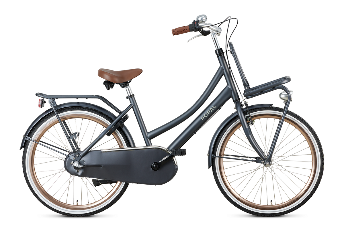 Popal Daily Dutch Basic+ 24 inch 2024 Meisjes - Novafietsen.nl